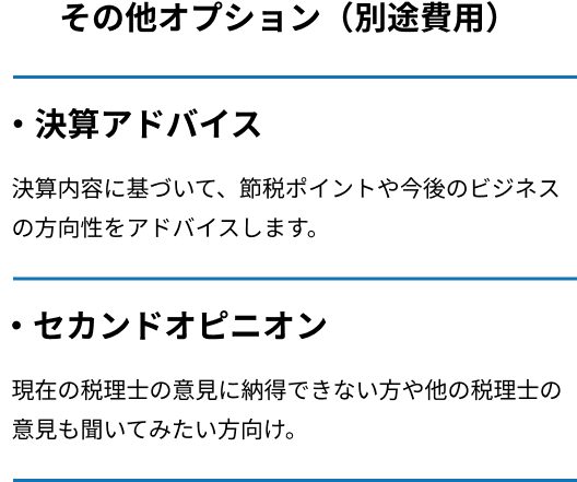 決算アドバイス・セカンドオピニオン